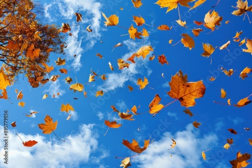 Autumn leaves are flying against the sky