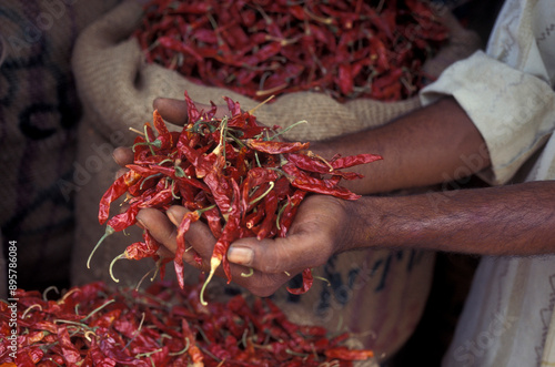 INDIA KARNATAKA MYSORE MARKET