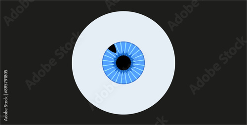 Iris melanoma anatomy