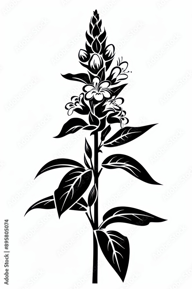 Black and white flat vector art of a sage flower, svg style, isolated on white background, simple vector art design Black and white flat vector art of a sage flower, svg style, isolated on white background, simple vector art design