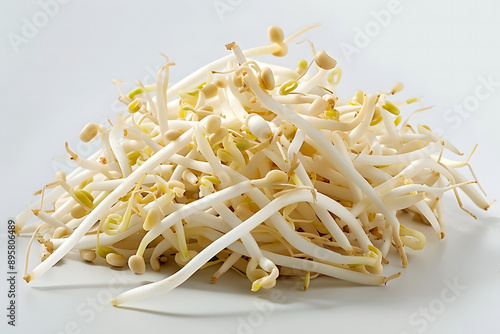 Whole Bean sprouts on a white background photo