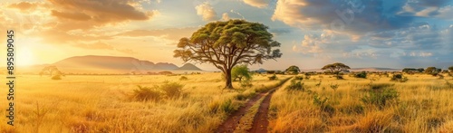 A panoramic view of the beautiful African savanna with acacia trees at sunset, the path leading to an oasis in Serengeti National Park on wildlife.