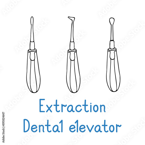 Extraction Dental Elevator set - hand drawn dental instruments