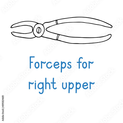 Forceps For Right Upper Molar - hand drawn dental instrument