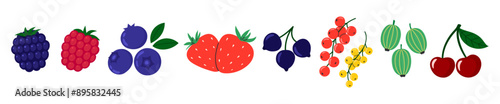 Berries set. Cherry, black currant, raspberry, gooseberry, blueberry, blackberry, strawberry. Fresh summer juicy berry. Flat Vector illustration isolated on white background