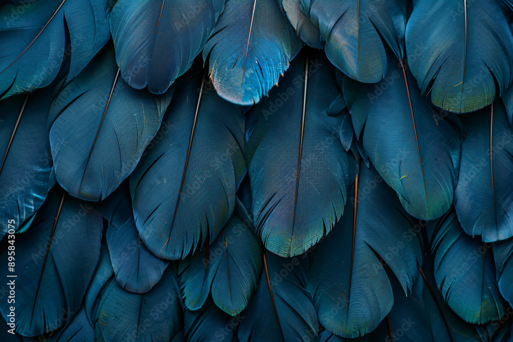 Obraz premium teal color feathers abstract background, ultra realistic photography