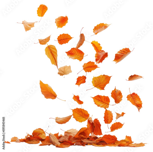 PNG Autumn leaves falling gracefully