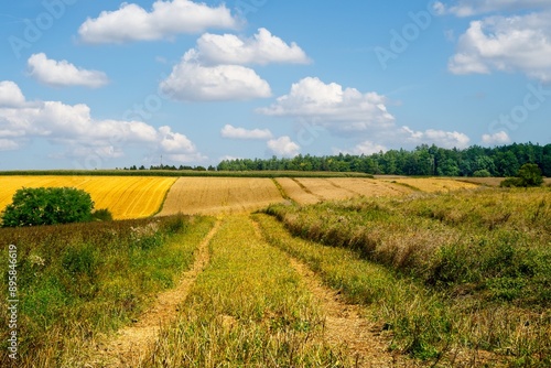 słoneczny letni dzień nad polami Roztocza