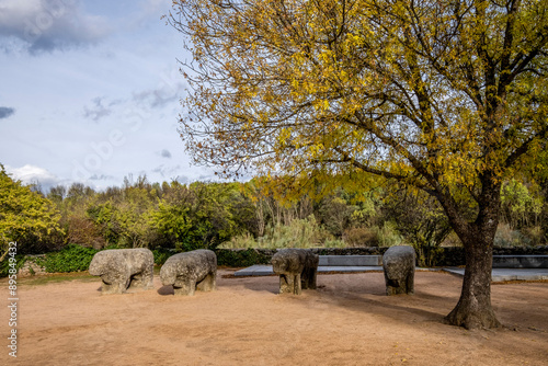 Bulls of Guisando, Vetton sculpture group, 4th and 3rd centuries BC, Iron Age, Ávila, province of Ávila, autonomous community of Castilla y León, Spain photo