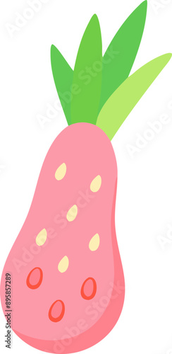 fruit illustration