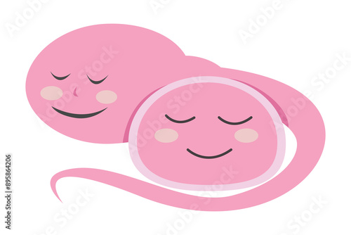 sperm and egg fertillization