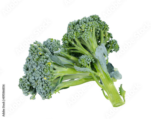 Broccoli transparent png photo