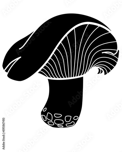 Lactarius resimus, forest edible mushroom - vector silhouette picture for sign or logo. Mushroom with a fancy, picturesque cap for a pictogram or icon.	