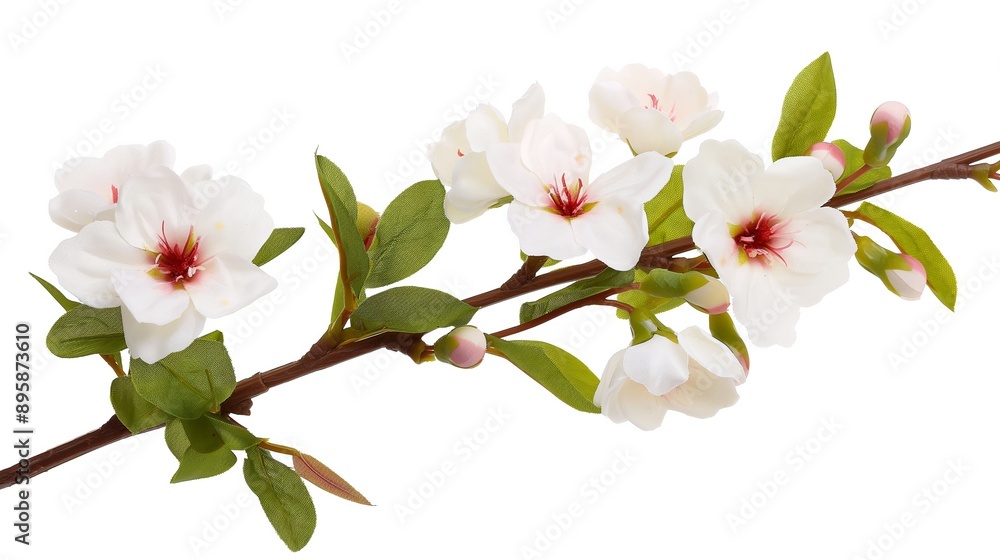 Obraz premium A white flower with green leaves is on a white background. The flower is the main focus of the image, and the green leaves add a touch of color and contrast