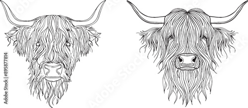 An uninterrupted line drawing of the bull symbol of the Chinese New Year. 2021, the year of the bull.