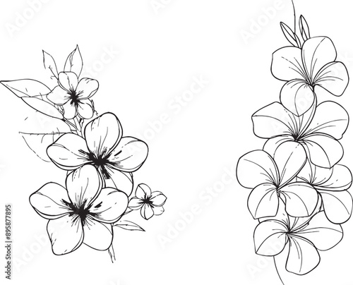 Intense black linear sketch of tropical plumeria flower on white background with continuous line art drawing style.
