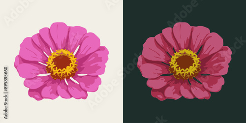 Zinnia flower head. Single isolated illustration. Image tracing, cleaned and simplified illustration. Realistic style. Not AI.