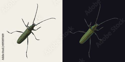 Crawling musk green beetle with antennae. Top view. Single isolated colorful illustration. Image tracing, cleaned and simplified image. Realistic style. Not AI.