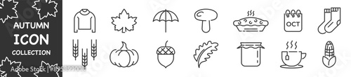 Set of autumn icons. Autumn icon collection. Thanksgiving. Vector illustration