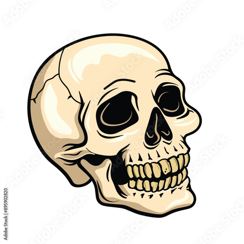 Human skull isometric view. Vector illustration cartoon style