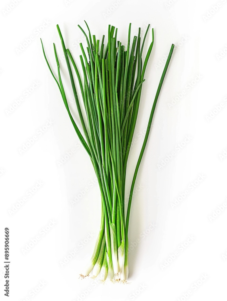 Green onions with long, slender tops and white bottoms. Perfect for culinary use. Green onions with long, slender tops and white bottoms. Perfect for culinary use.