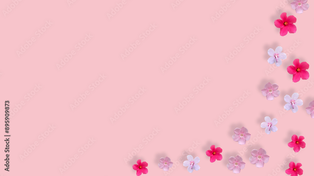 white, red, pink flower on pink background, Creative lifestyle, summer or spring concept. Copy space, flat lay, top view. half bottom background white, red, pink flower on pink background, Creative lifestyle, summer or spring concept. Copy space, flat lay, top view. half bottom background