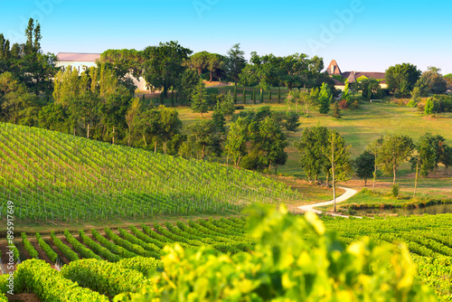 Obraz na płótnie Vignoble du Gers