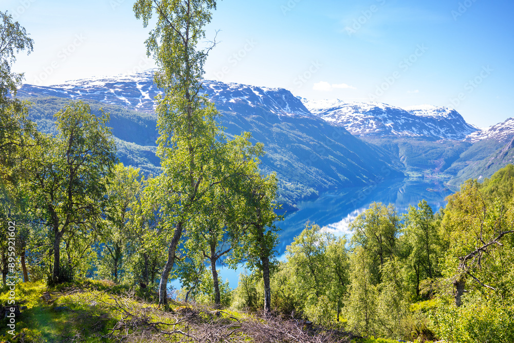 View of Lake Roldalsvatnet towards the village of Botnen View of Lake Roldalsvatnet towards the village of Botnen
