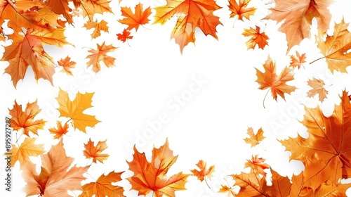 Autumn Leaves Falling on White Background