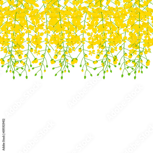 Vector illustration of hanging Cassia fistula flowers on transparent background