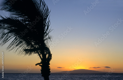 Maui Hawaii 