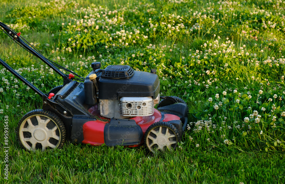 Fototapeta premium Lawn mower on green grass background. Petrol machine for cutting. Garden care. Electric equipment. Side view. Copy space. Lots of clover weeds. Sport lawn for games. Weed control. High quality photo