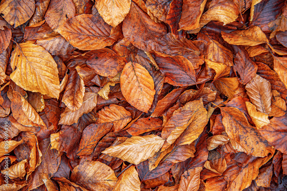 Yellow autumn fallen leaves on the ground as a background. Yellow autumn fallen leaves on the ground as a background.