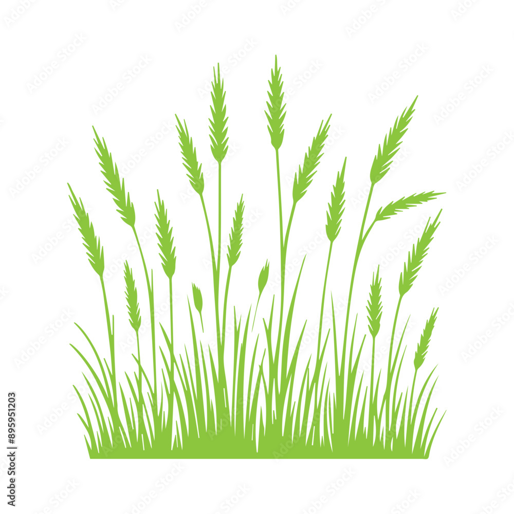 Fototapeta premium green grass design flat vector illustration