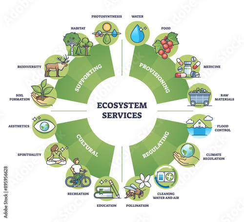 Ecosystem services and nature based ecological solutions outline diagram, transparent background. Labeled educational division with provisioning, regulating.