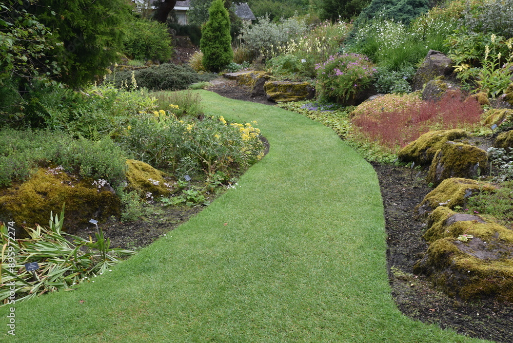 Obraz premium Allée gazonnée au jardin