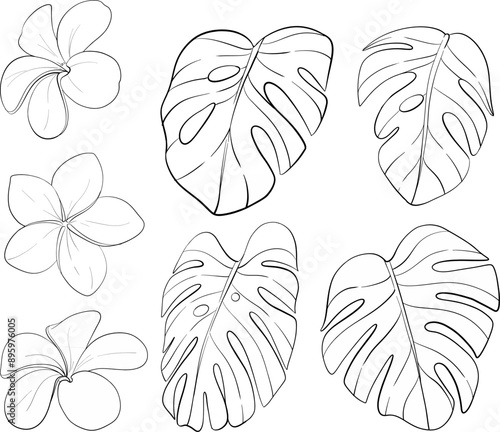Vector tropical clipart - monstera leaves and frangipane. Exotic flowers. Black circuit silhouette. Perfect for wedding design, cards, printing