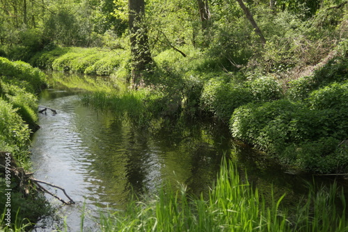 Grüne Natur