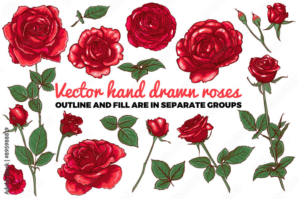 Set of vector hand drawn red roses. Buds, flowers, bloom, blossom, leaves, stem colored roses. Summer flowers on white background. Outline and flat fill are all in separate groups. Set of vector hand drawn red roses. Buds, flowers, bloom, blossom, leaves, stem colored roses. Summer flowers on white background. Outline and flat fill are all in separate groups.