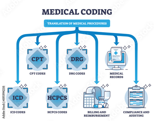 Medical coding and translation of medicine health procedures outline diagram, transparent background. Labeled educational scheme with diagnosis.