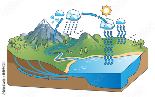 Water cycle diagram with precipitation and condensation outline concept, transparent background. Educational scheme with nature process explanation and climate ecosystem illustration.