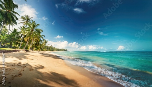 Wallpaper Mural Beach images, beach with palm trees, brown sand, sea and coconut trees in spring color, outdoor nature background Torontodigital.ca