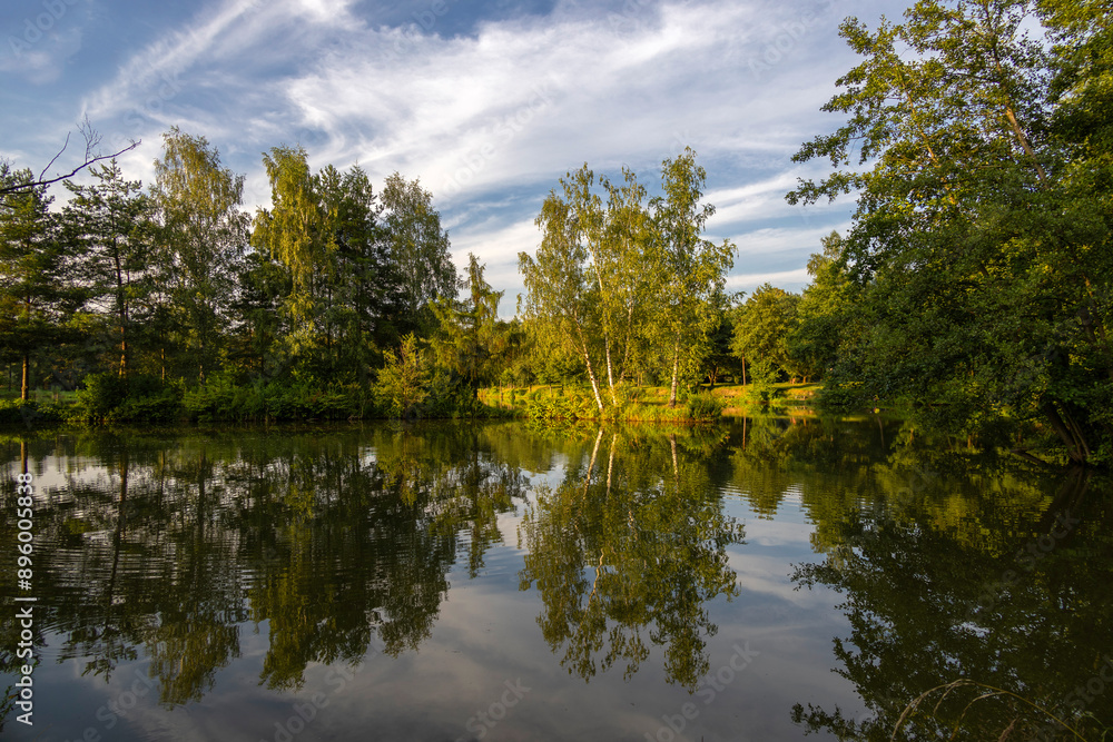 Light of the golden hour over the pond Light of the golden hour over the pond