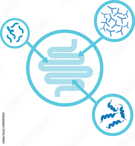 Icone Probiotici Intestino transito intestinale