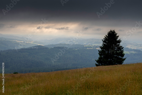 Landscape from a meadow on a slope on Ochodzita in Koniakow under a cloudy sky with a lone tree photo