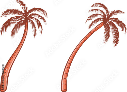 Coconut tropical palm tree vector illustration