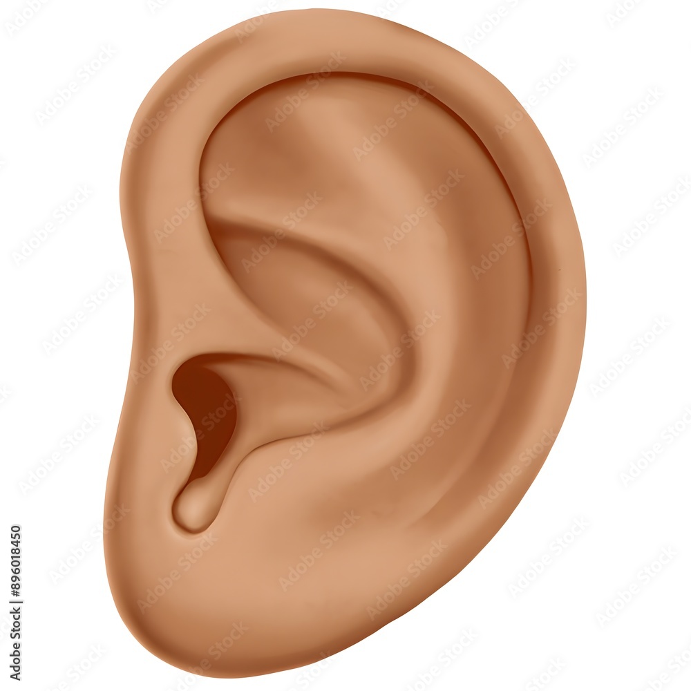 Ear: Medium Skin Tone Ear: Medium Skin Tone