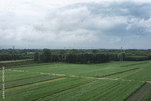 Rural grassland scenery of Taiyuan, Shanxi, with blue sky, white clouds, and fields