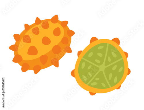 Exotic horned melon kiwano. Tropical fruit with its distinctive spiky orange rind and bright green flesh. Sweet tasty plant with spikes. Vector illustration isolated on white background