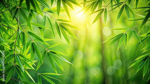 Green bamboo leaves creating a lush background, bamboo, leaves, green, nature, background, lush, tropical, botanical, foliage